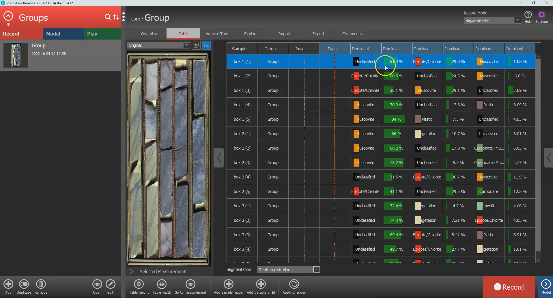 Dominant mineral.webp